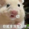 看到了我爱发不发