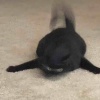 粥说她知道