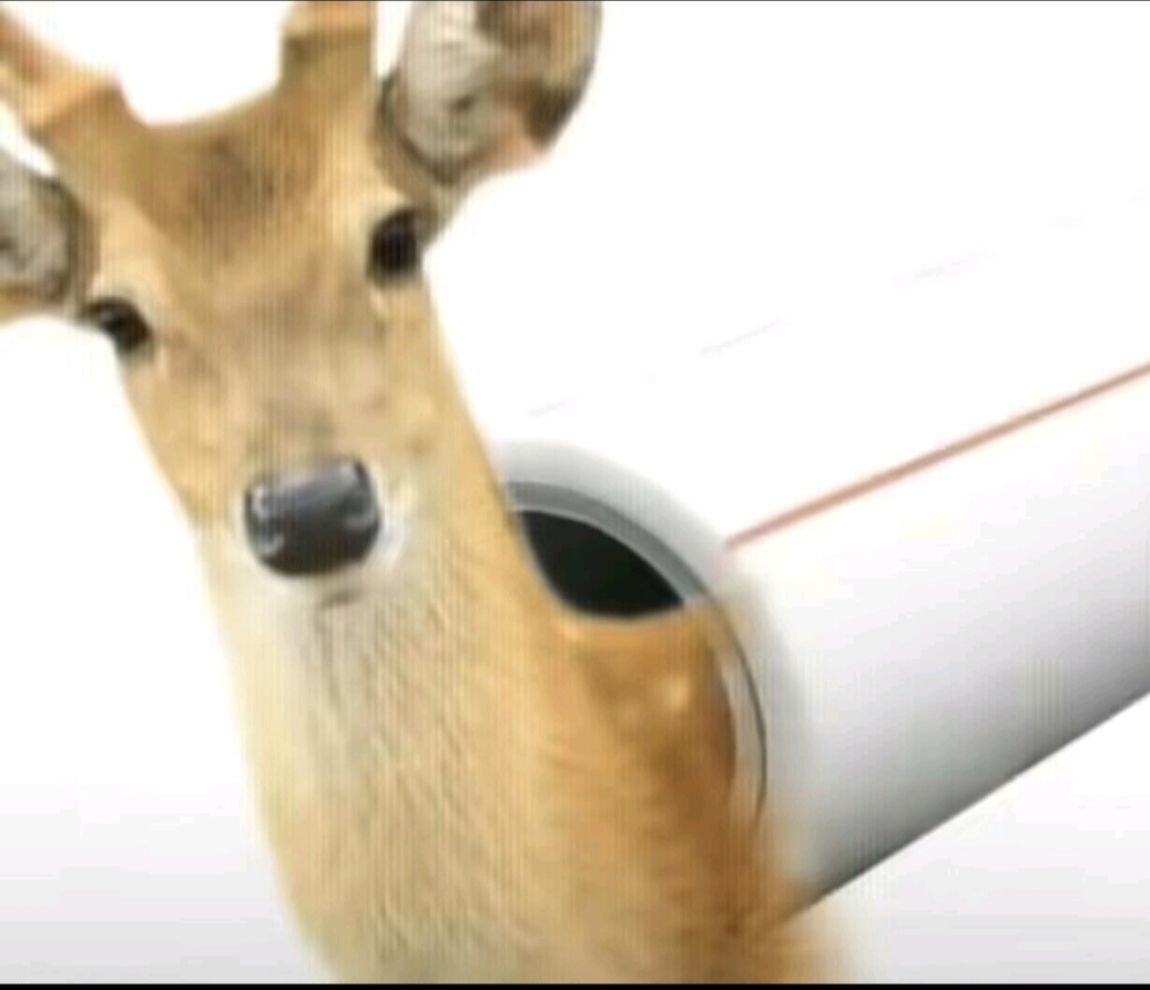 三更不行枣上发