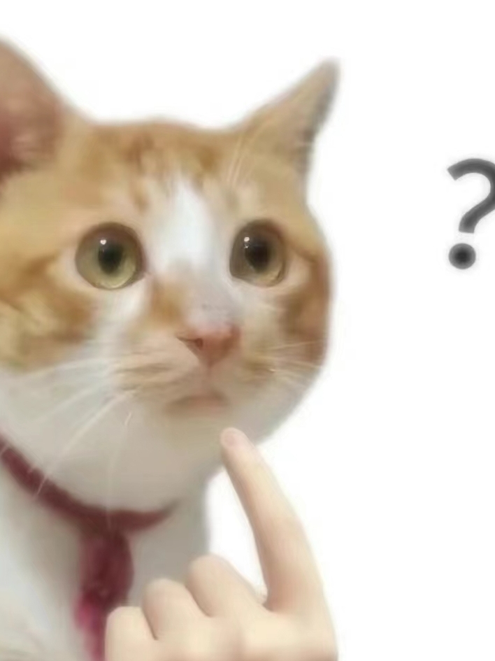 Cccc