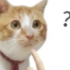 Cccc