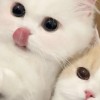 豆pp123