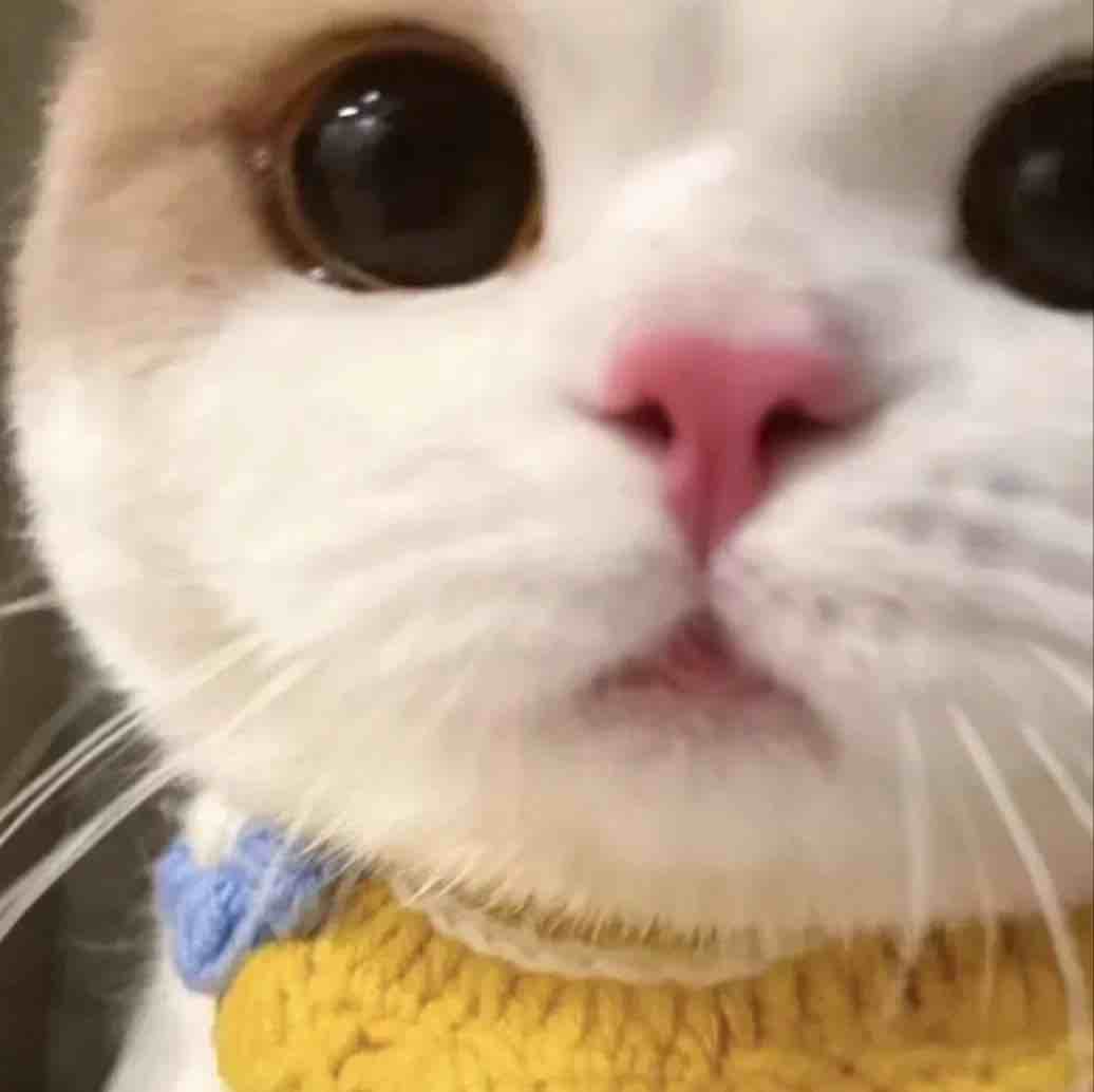 玩家1044569079623000064