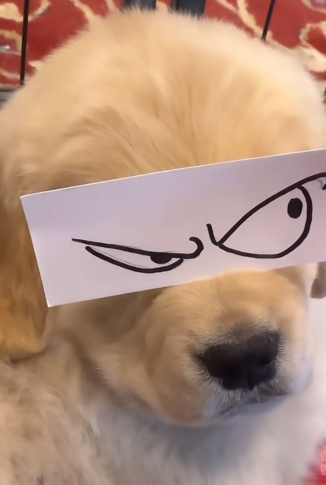 玩家1264399167613050880