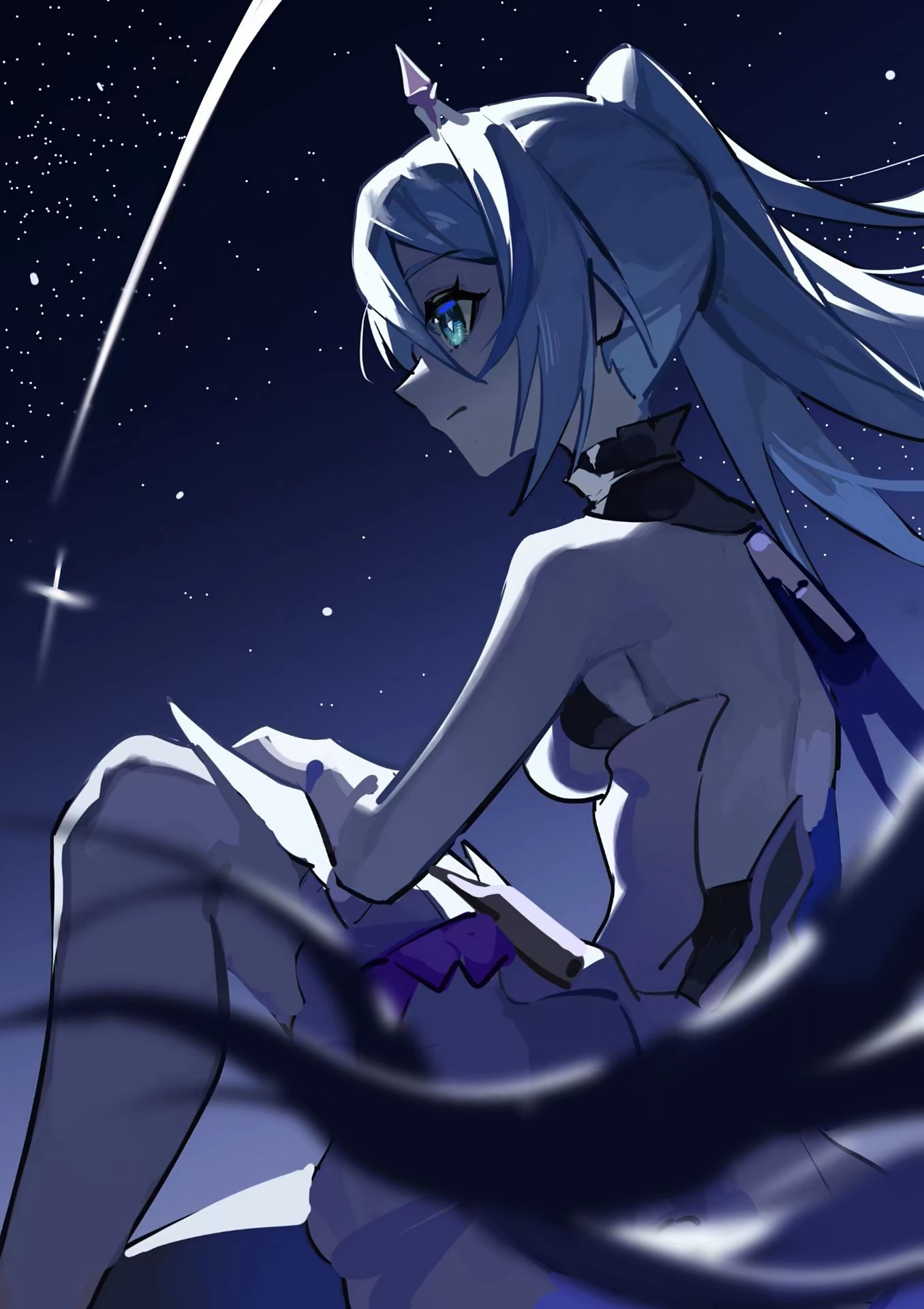 叱咤月海鱼鱼猫