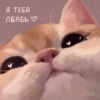 visheng