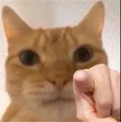 我要当分母