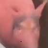 玩家1263670913830756352