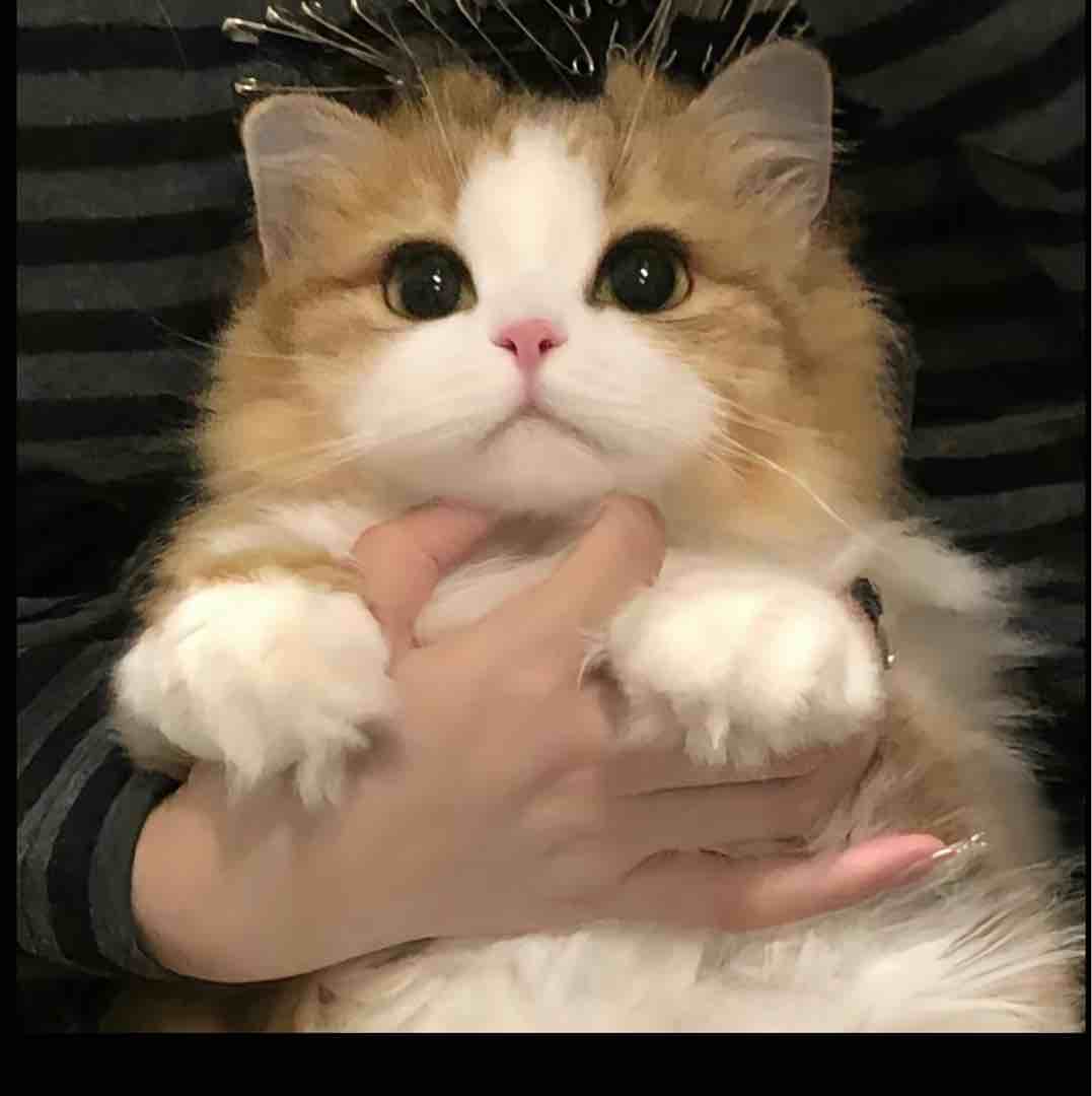 ·