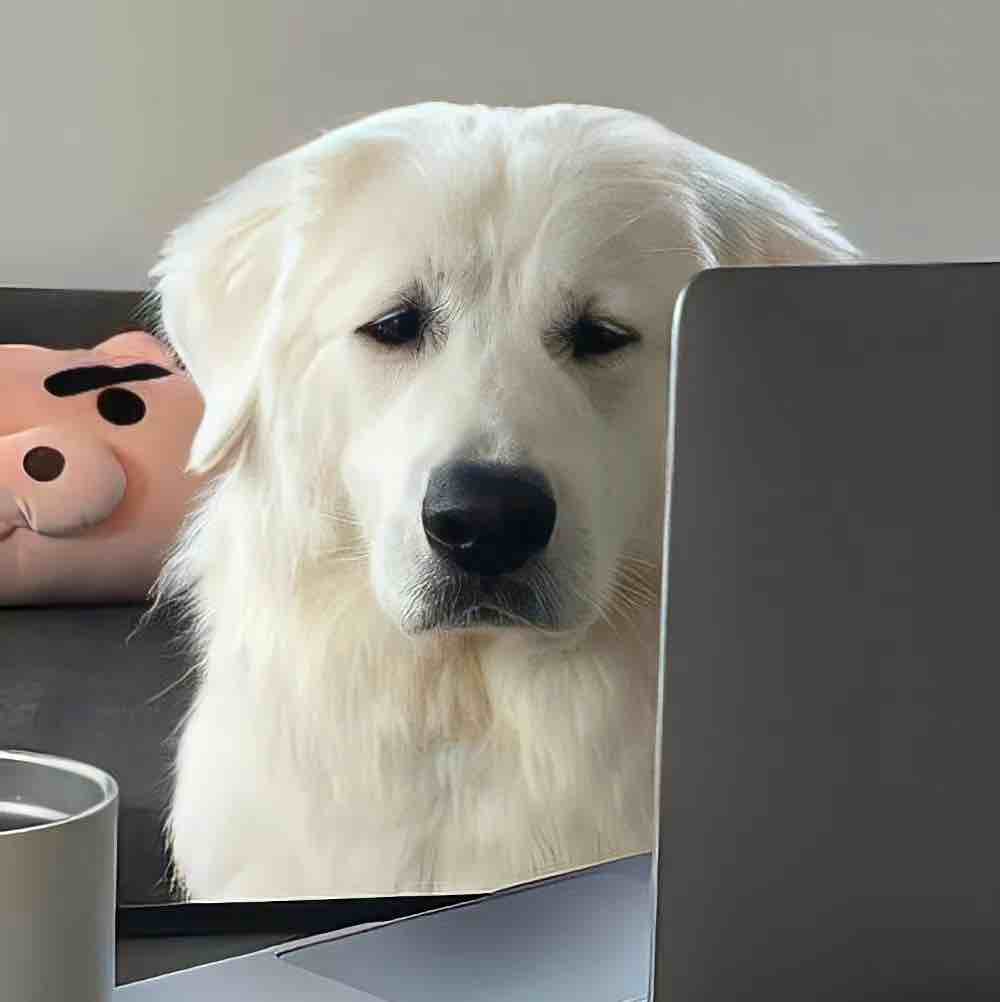 玩家1267566633528877056