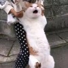 拧巴人nbr