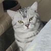 沙场不倒翁