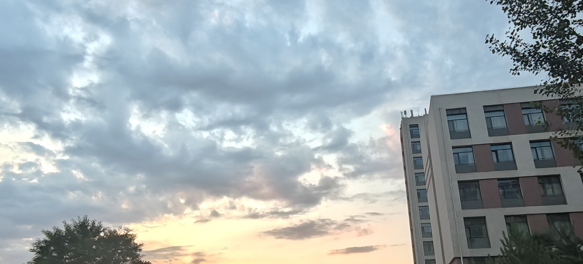 玩家1274323973191426048