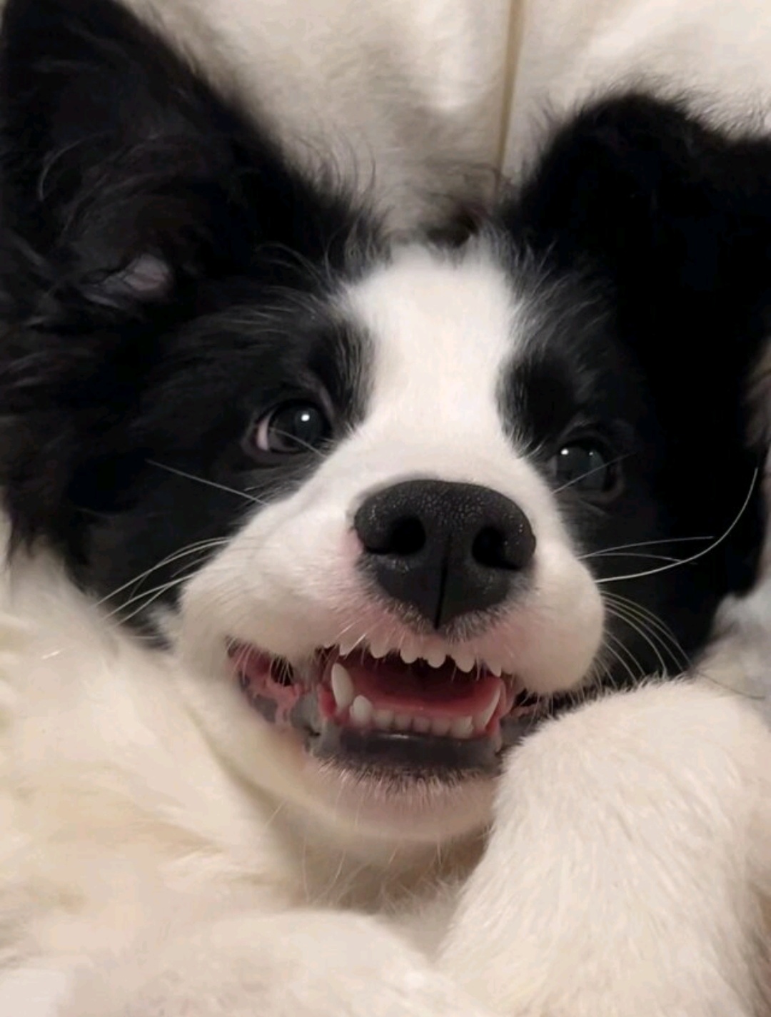 玩家1268379190099468288