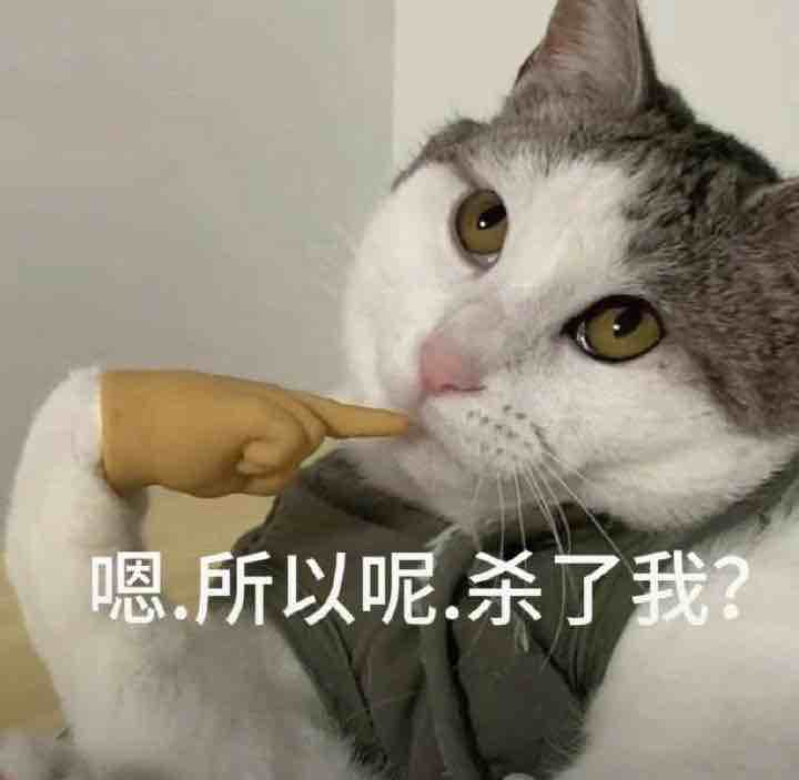 阿柯柯哲