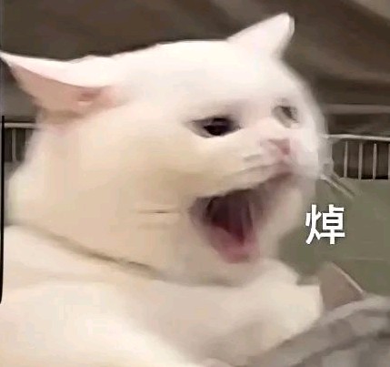 路过的靓仔