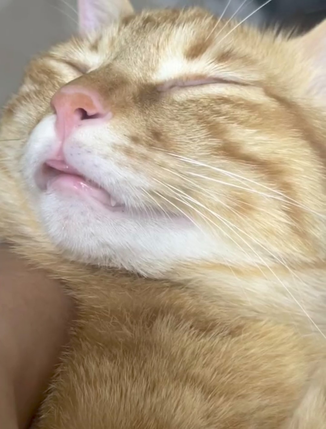 玩家1277092396262346752