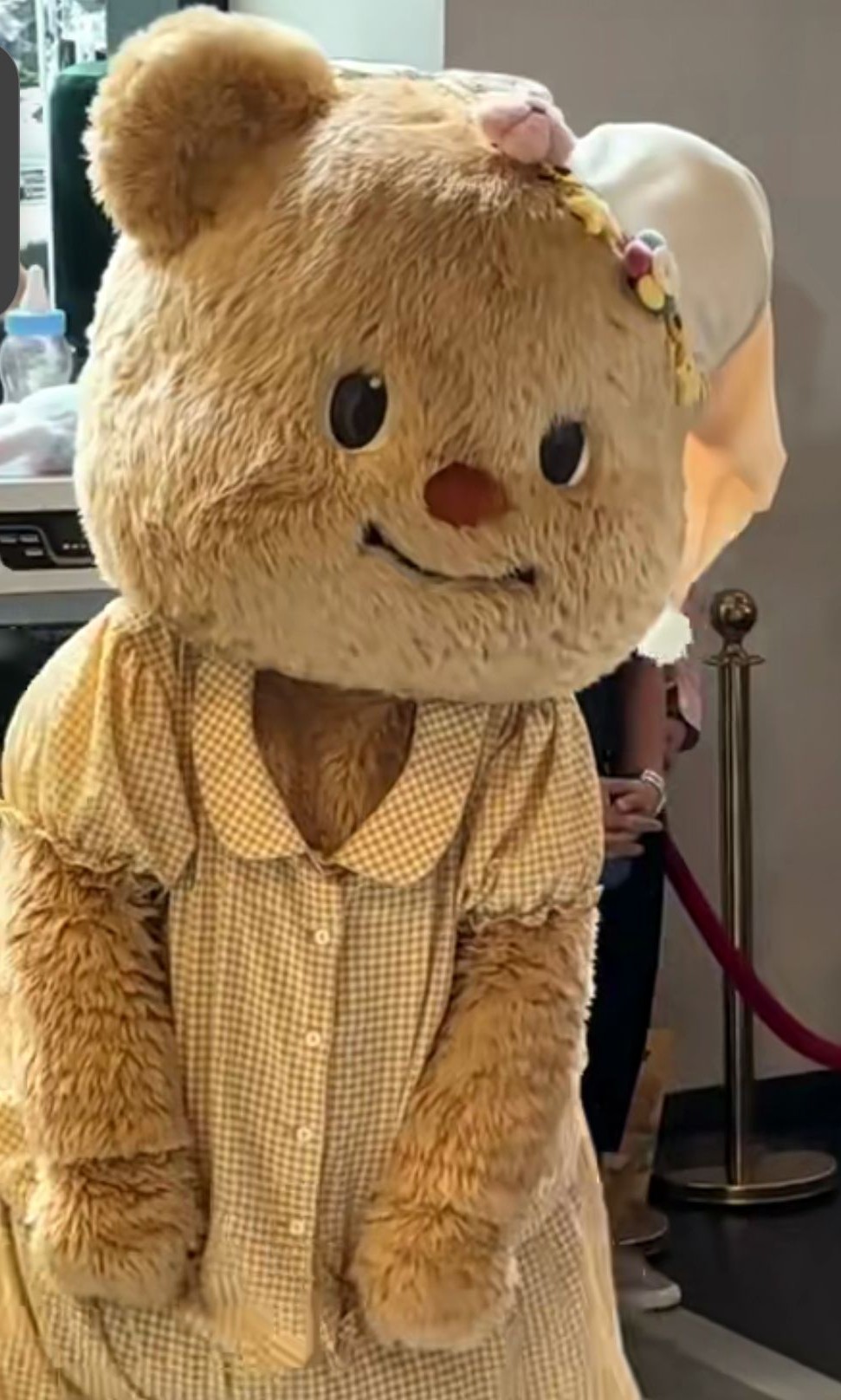 寿冬与秋