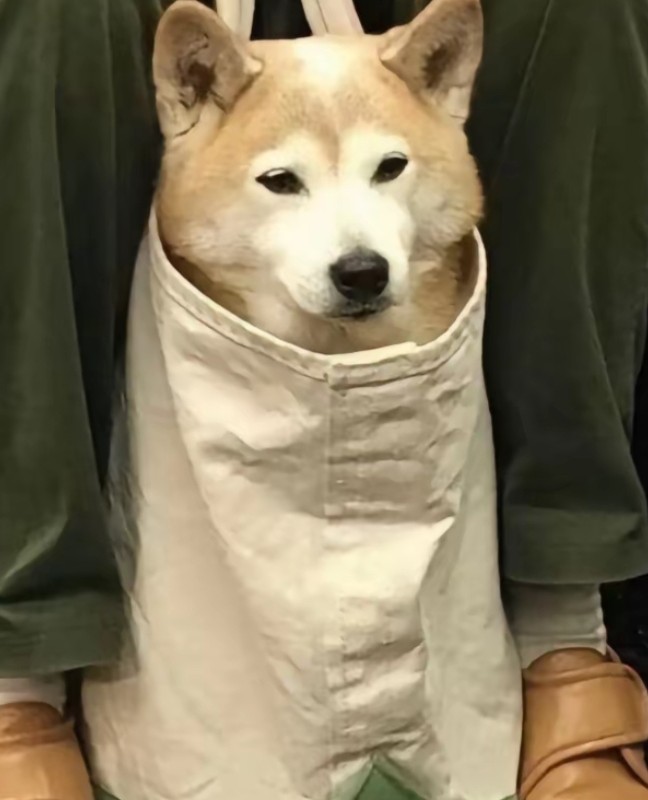 潇潇是也