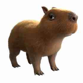 Capybara