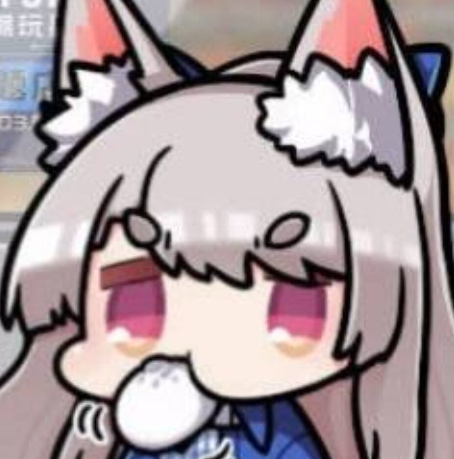 自用玩家