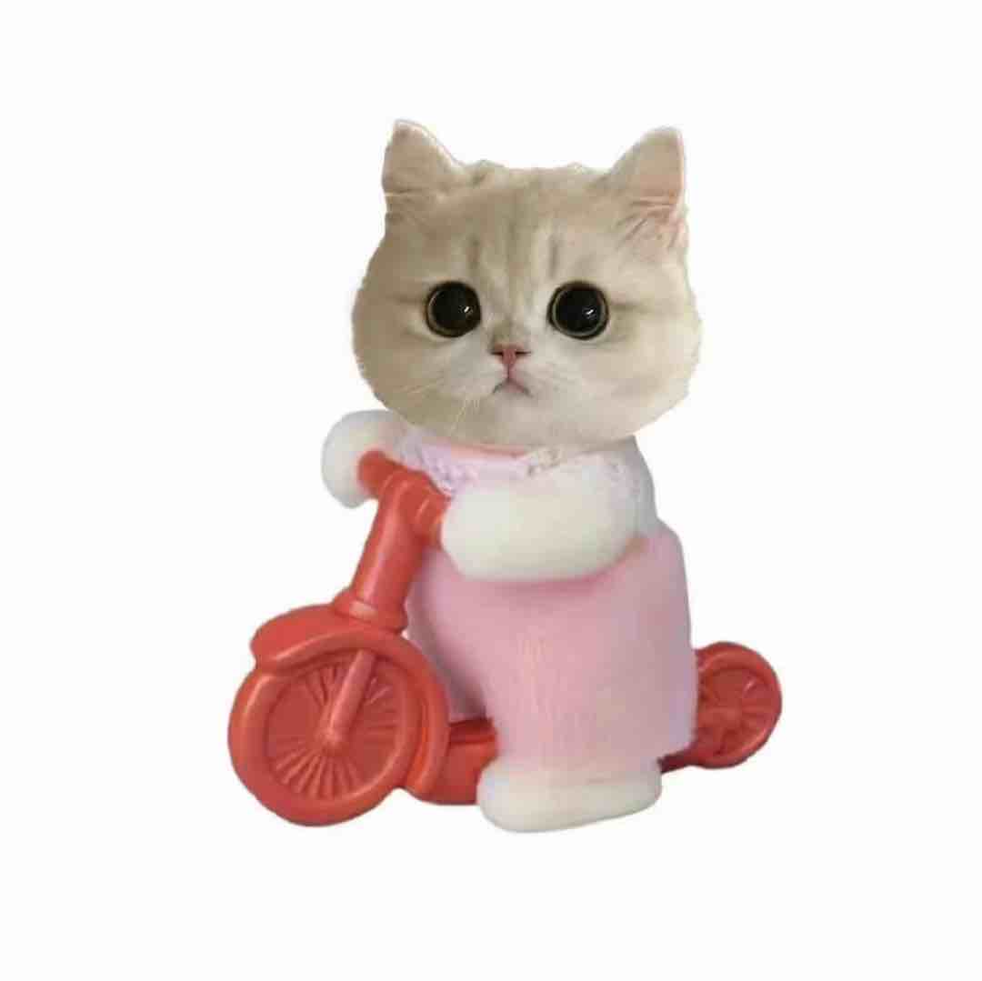 女大自用