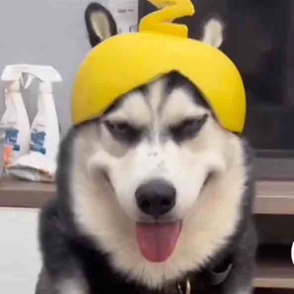 漓赩lixi