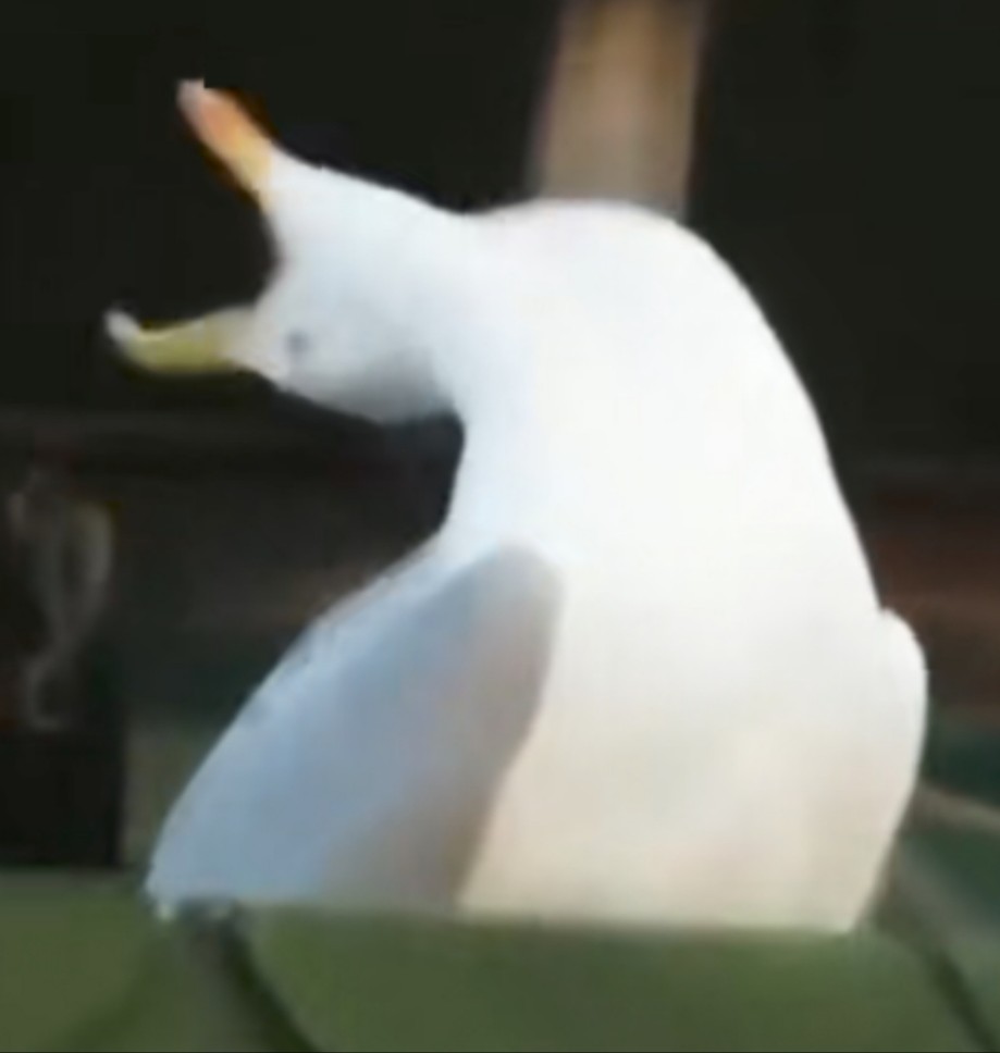 superseabird