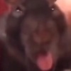 玩家1191645414245253120