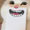羅肆粉吖