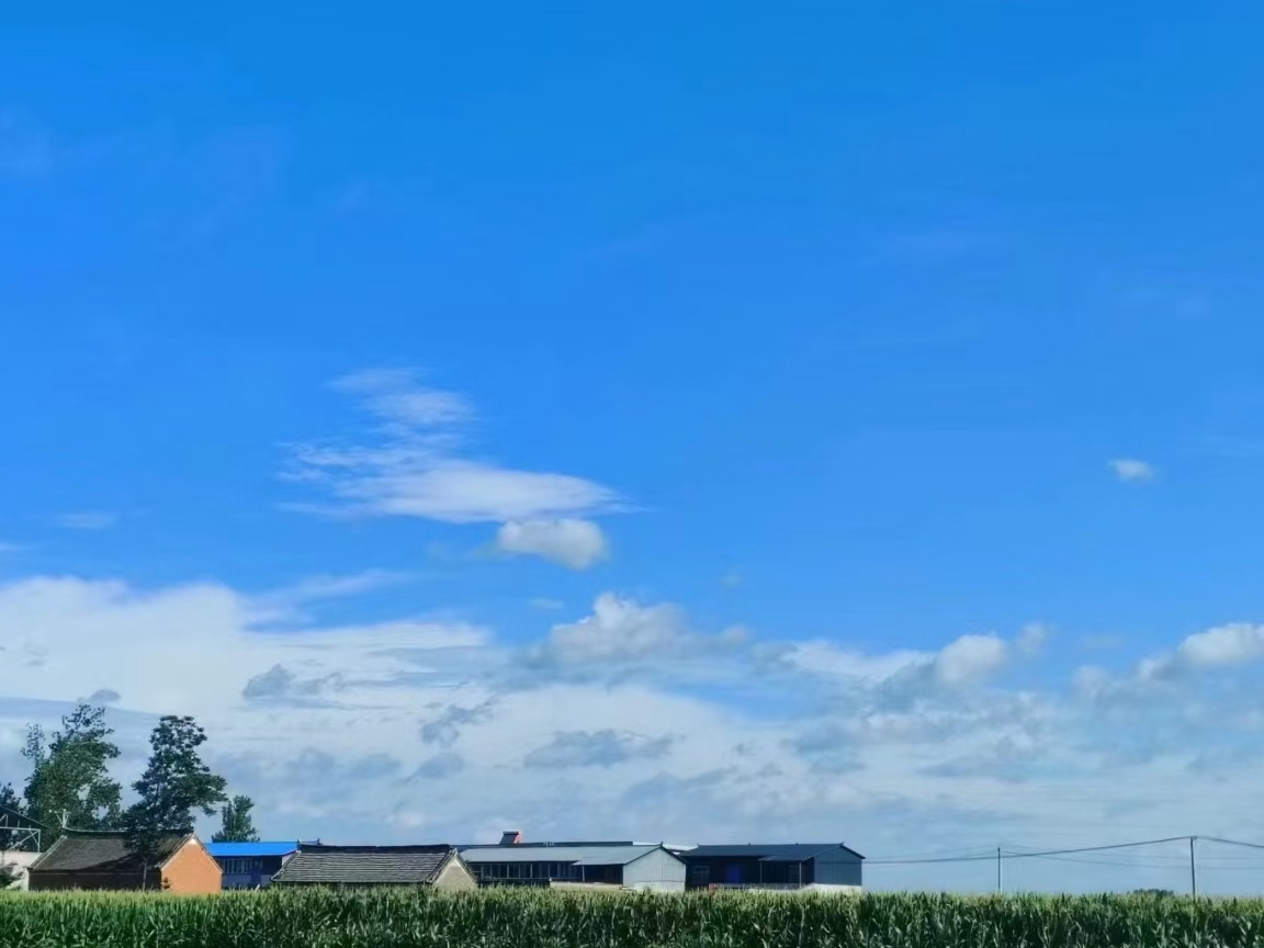 云雨落梅