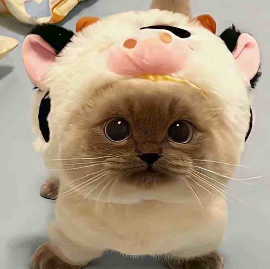 那—枪的温柔