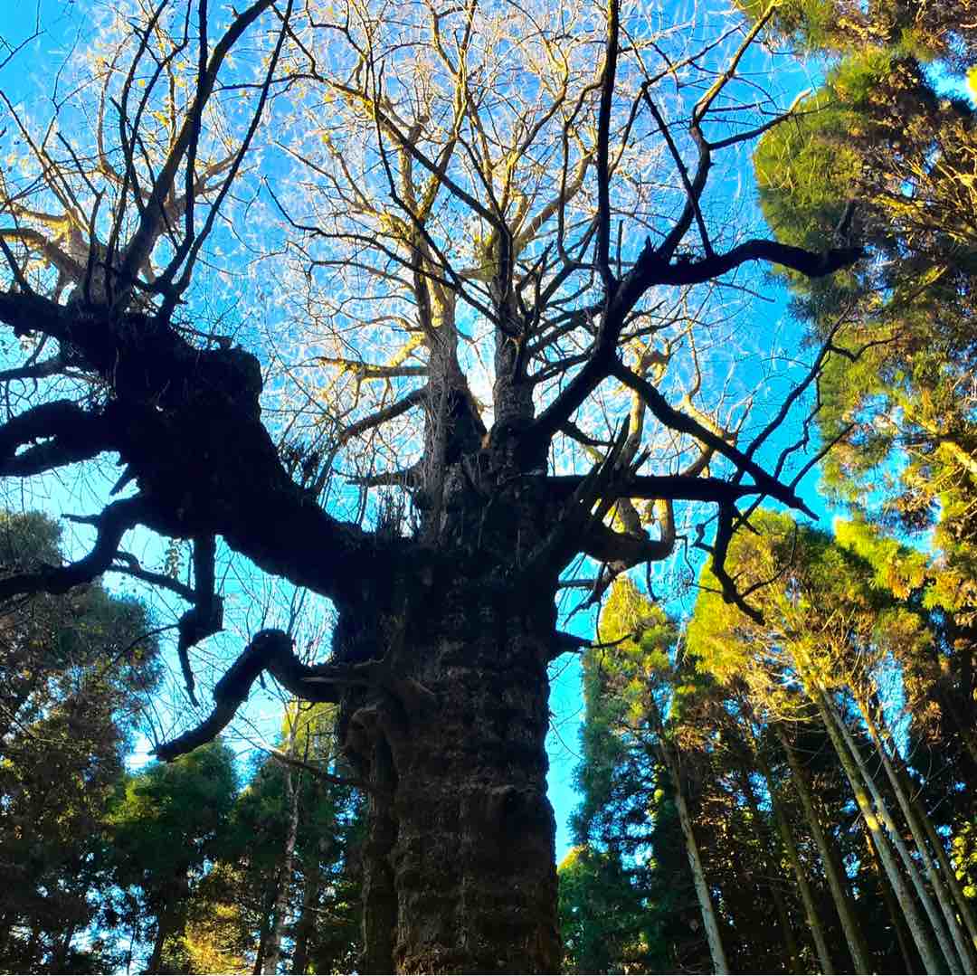 物超所值下单秒发