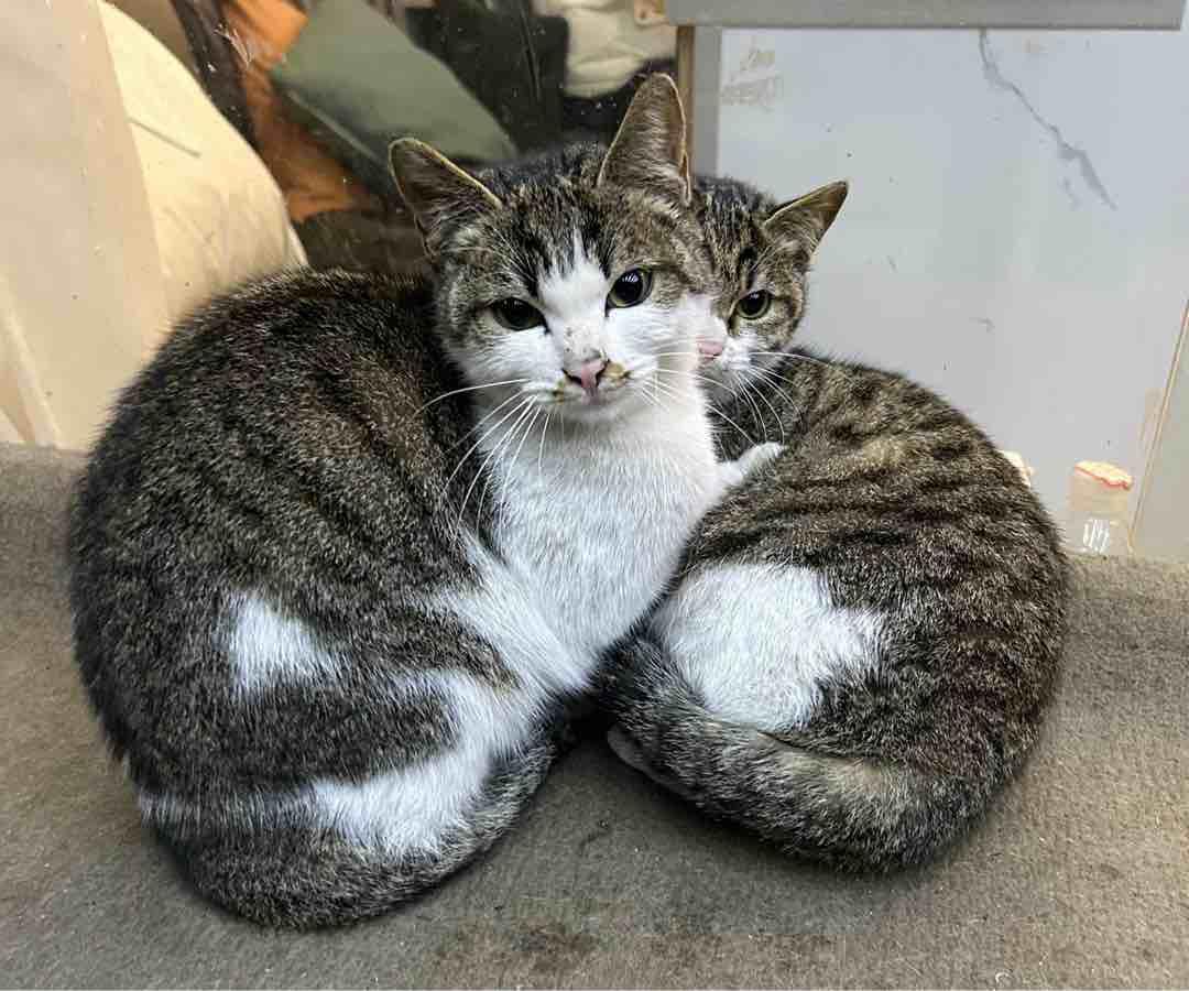 玩家1323681978415869952