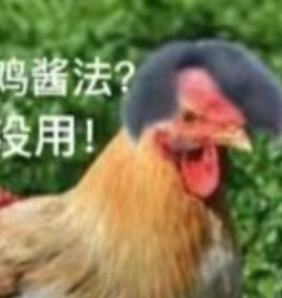 坤坤实在太美