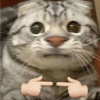 玩家1344863480577179648