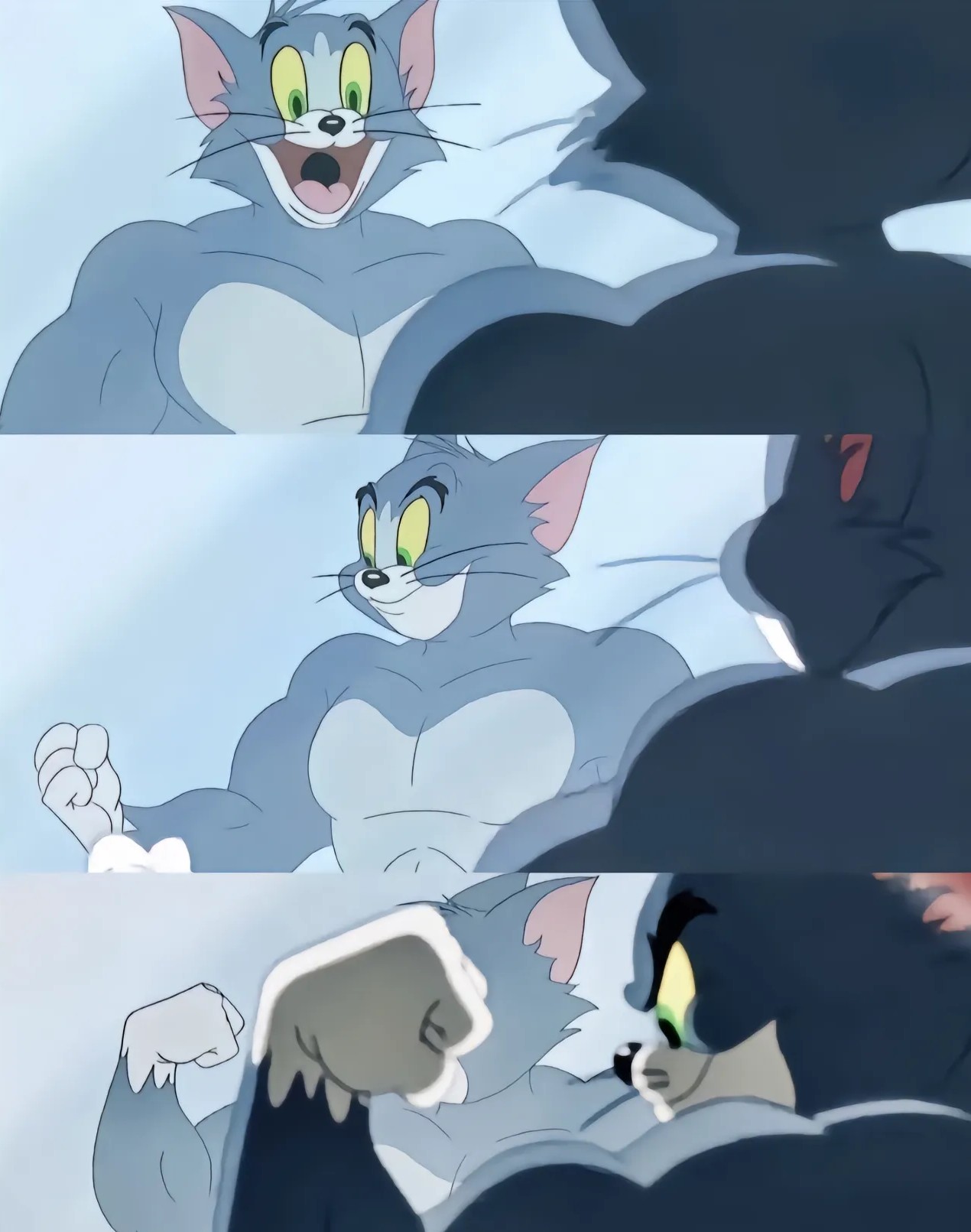 xwtsws