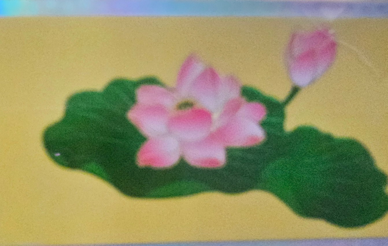 玩家969472755984138240