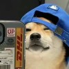 玩家1050232682089762816