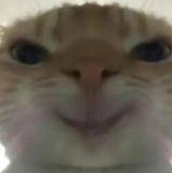 玩家1342442657530286080
