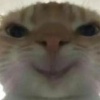 玩家1342442657530286080