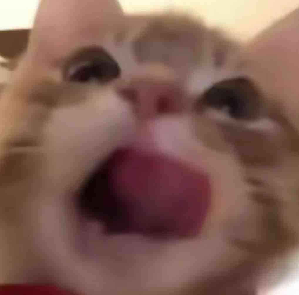 Bruh