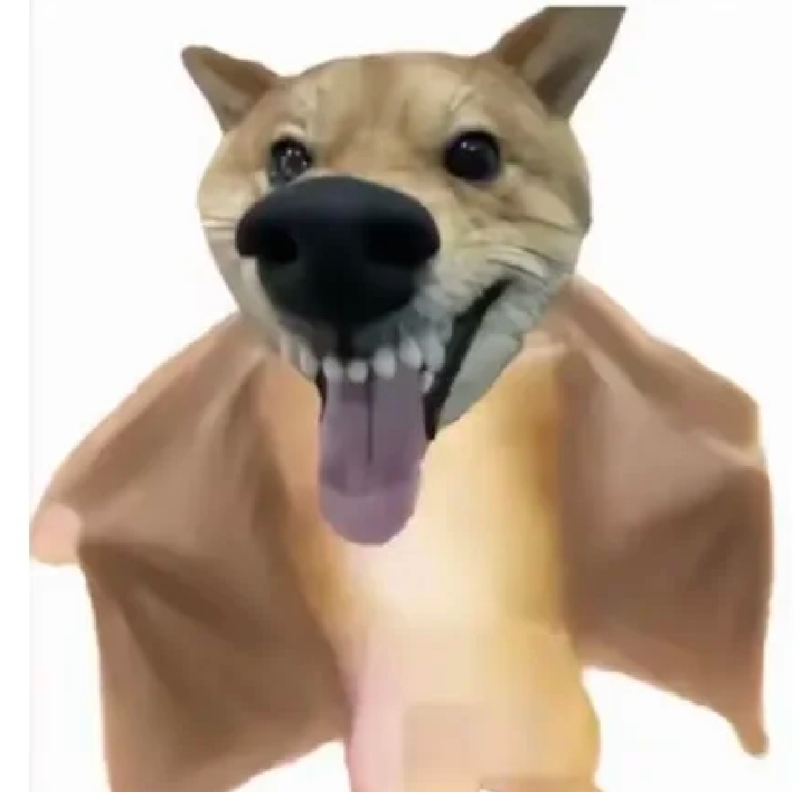 NOPUNK