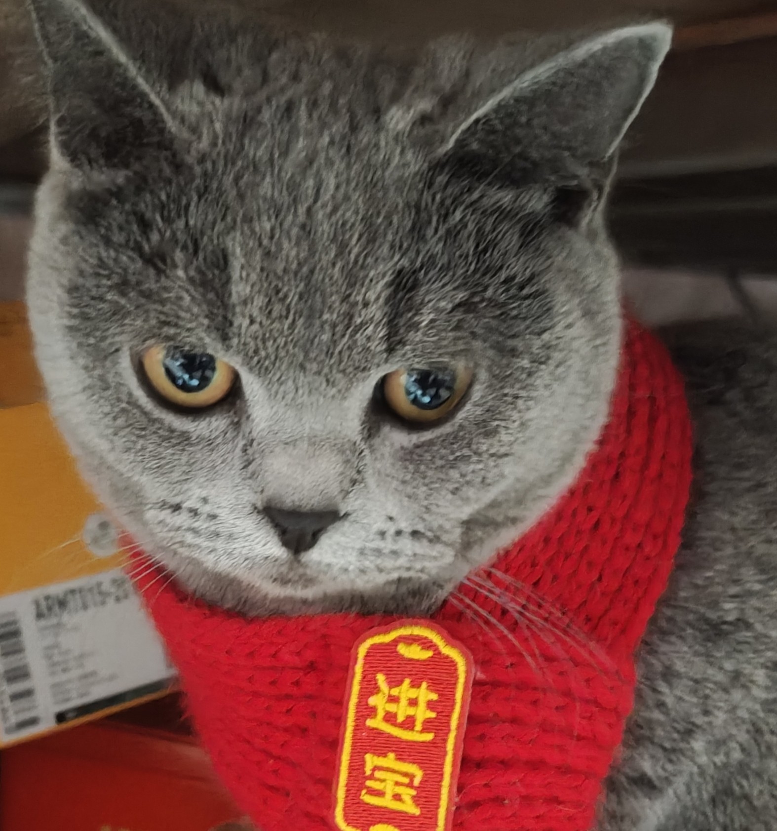 牛牛炼金铺