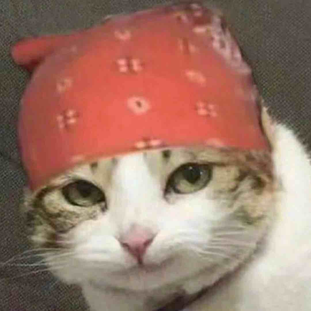 黑色的鹰帝