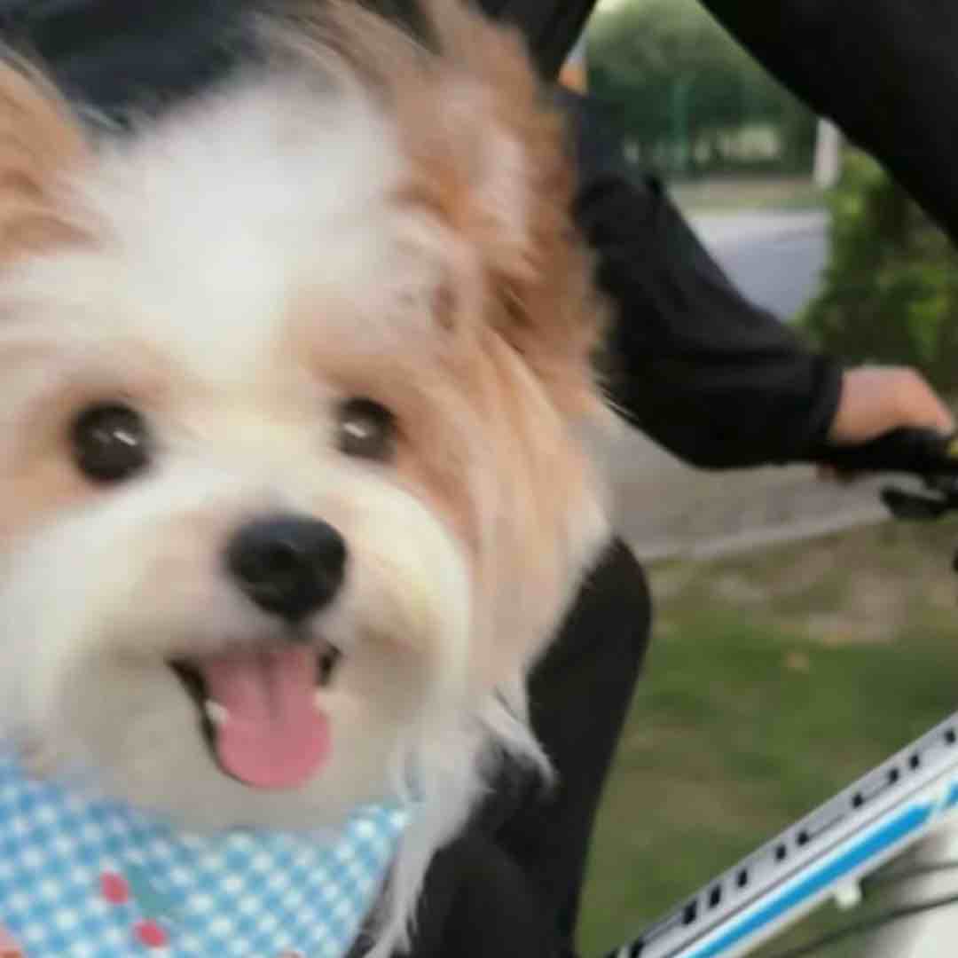 小小小火包