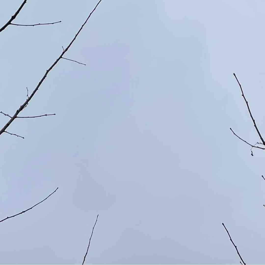清仓清仓