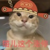 圆头耄耊