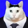 西装耄耋