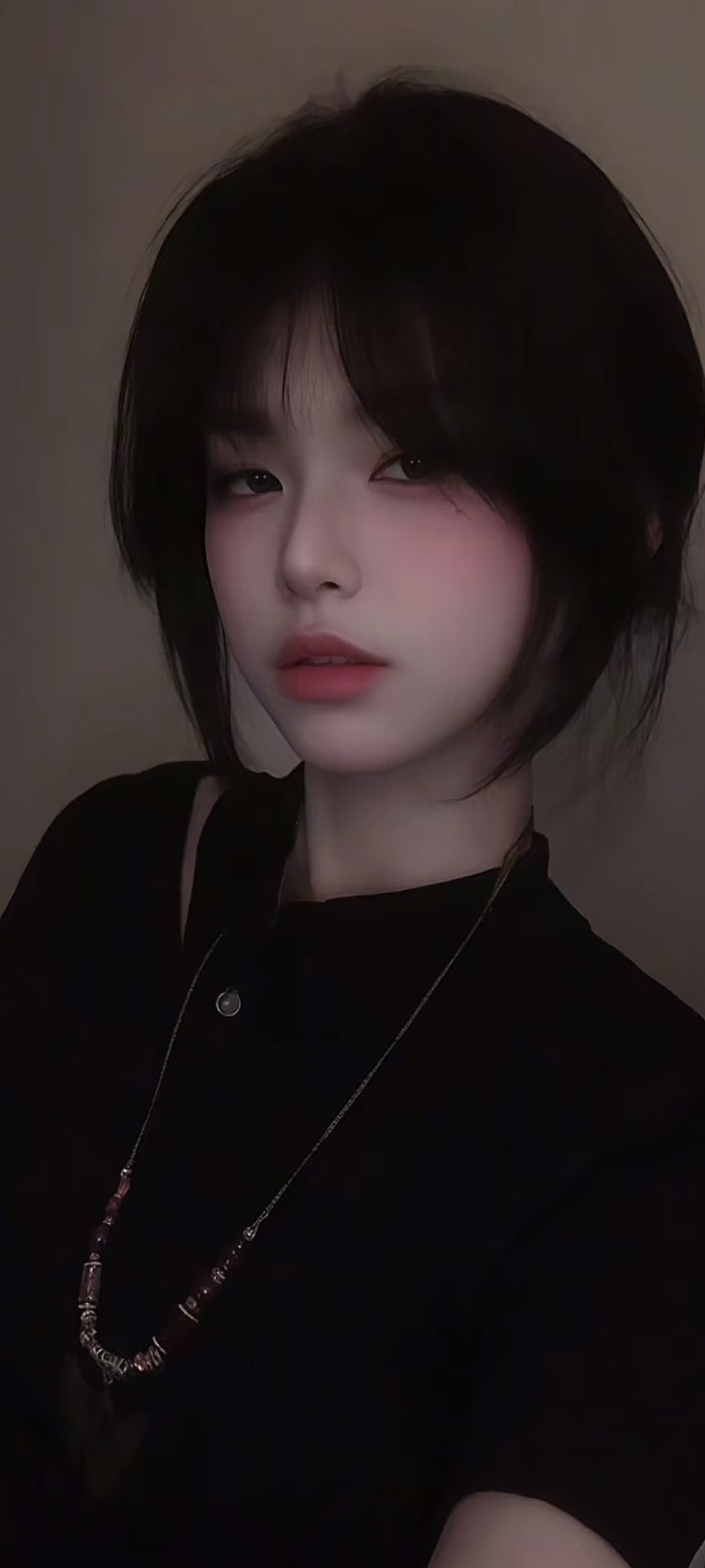 芝士饼干